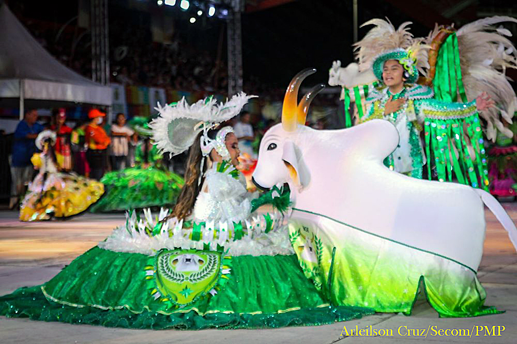 Bois-bumbás de Parintins e do Médio Amazonas são reconhecidos como Patrimônio Cultural pelo Instituto do Patrimônio Histórico e Artístico Nacional (IPHAN).
