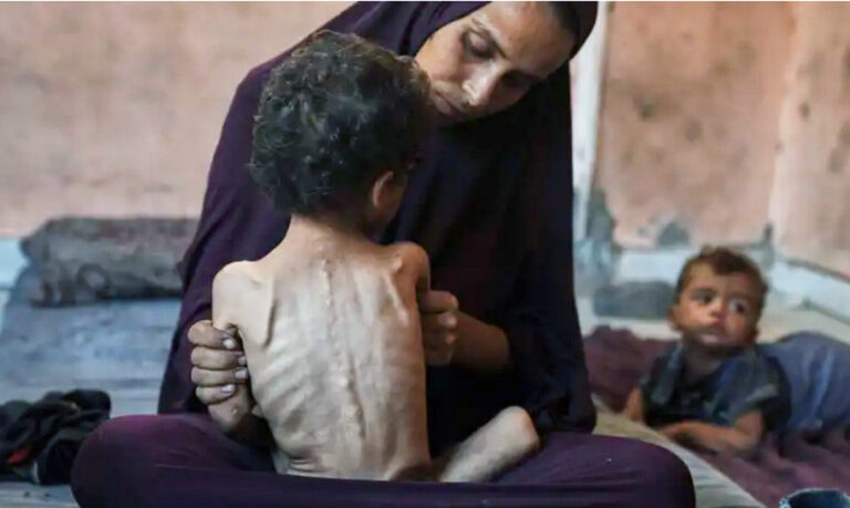 Pela primeira vez em quase 22 meses de guerra, duas organizações israelenses de direitos humanos, B'Tselem e Médicos pelos Direitos Humanos (PHRI), acusaram Israel de cometer genocídio contra palestinos em Gaza. As conclusões se baseiam em políticas, declarações militares, fome generalizada, deslocamento forçado e desmantelamento do sistema de saúde. Apesar de controversa internamente, a acusação ecoa a de organizações internacionais e o Brasil, que aderirá à ação da África do Sul na CIJ. Israel rejeita veementemente as acusações, afirmando que visa terroristas e respeita o direito internacional.